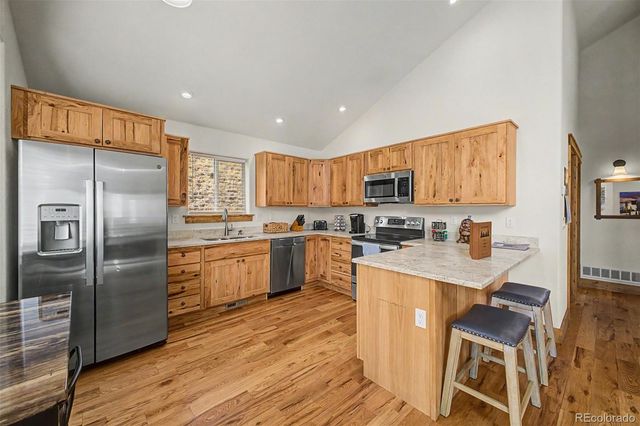 321 E Cline Drive, Shawnee, CO 80475