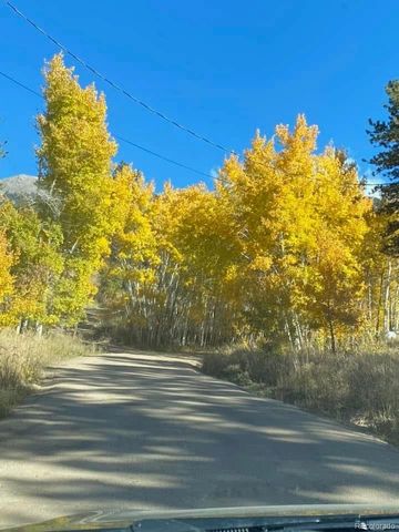 321 E Cline Drive, Shawnee, CO 80475