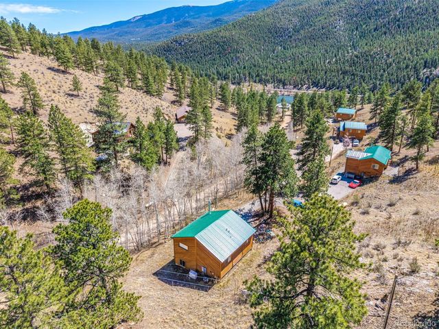 321 E Cline Drive, Shawnee, CO 80475