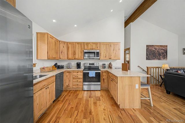 321 E Cline Drive, Shawnee, CO 80475