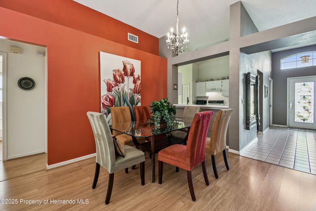 29228 Birds Eye Drive, Wesley Chapel, FL 33543