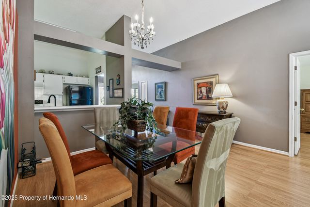 29228 Birds Eye Drive, Wesley Chapel, FL 33543