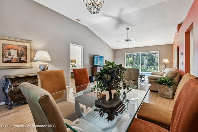 29228 Birds Eye Drive, Wesley Chapel, FL 33543