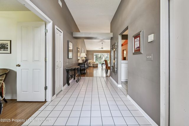 29228 Birds Eye Drive, Wesley Chapel, FL 33543