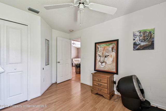 29228 Birds Eye Drive, Wesley Chapel, FL 33543