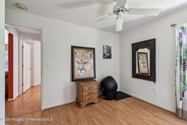 29228 Birds Eye Drive, Wesley Chapel, FL 33543