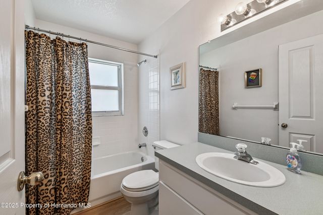 29228 Birds Eye Drive, Wesley Chapel, FL 33543