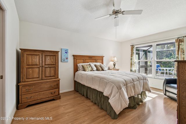 29228 Birds Eye Drive, Wesley Chapel, FL 33543