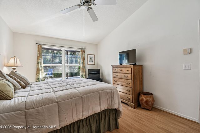 29228 Birds Eye Drive, Wesley Chapel, FL 33543