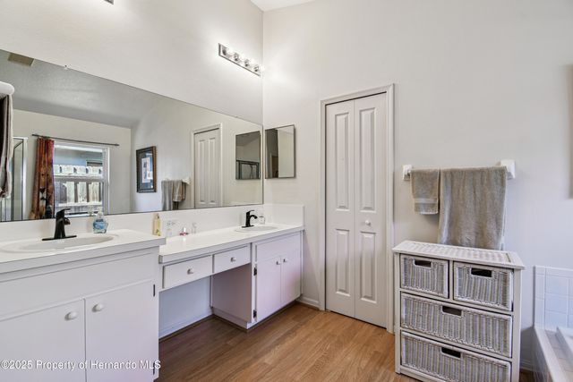 29228 Birds Eye Drive, Wesley Chapel, FL 33543