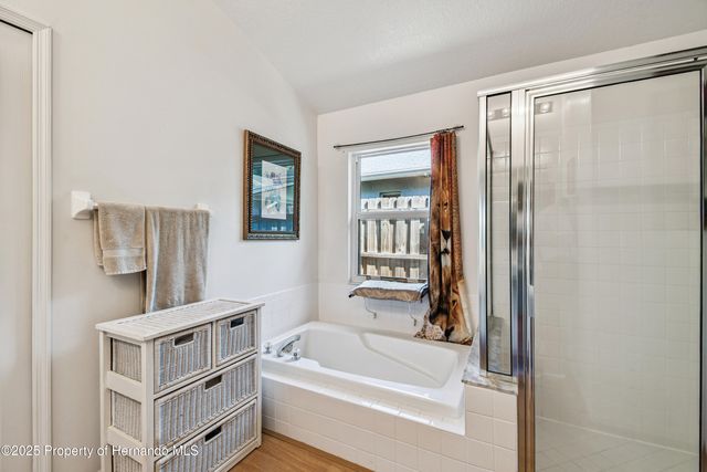 29228 Birds Eye Drive, Wesley Chapel, FL 33543