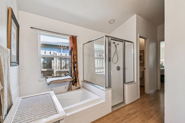 29228 Birds Eye Drive, Wesley Chapel, FL 33543