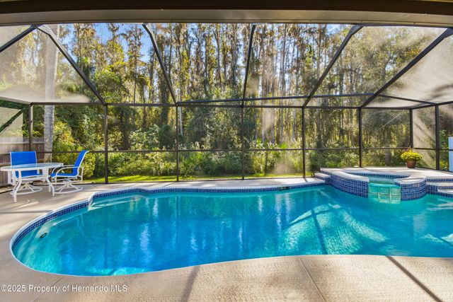 29228 Birds Eye Drive, Wesley Chapel, FL 33543