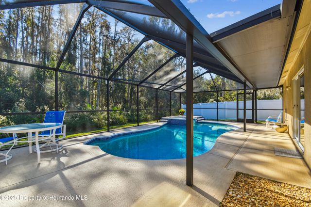 29228 Birds Eye Drive, Wesley Chapel, FL 33543