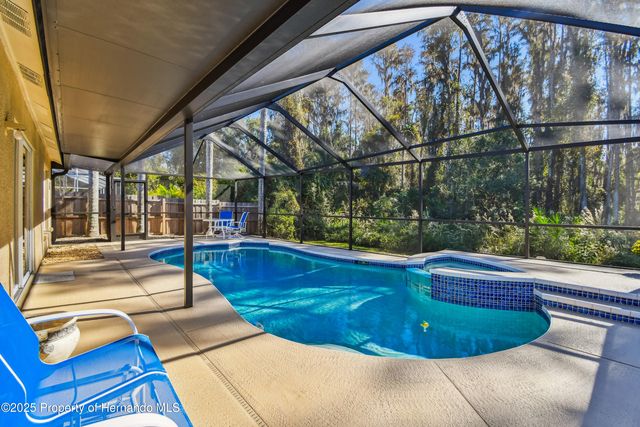 29228 Birds Eye Drive, Wesley Chapel, FL 33543