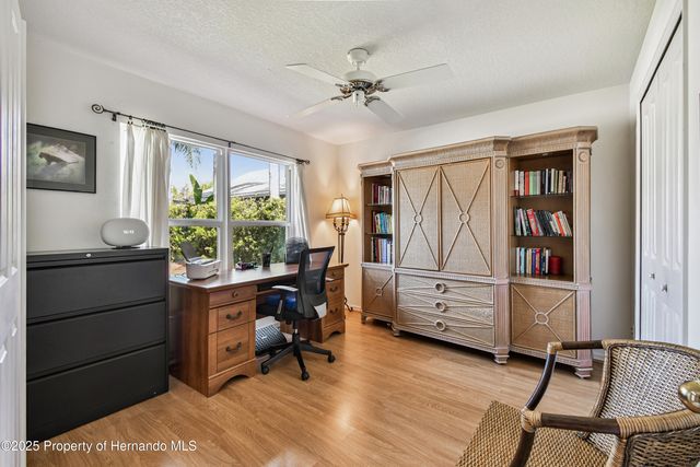 29228 Birds Eye Drive, Wesley Chapel, FL 33543