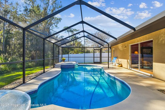 29228 Birds Eye Drive, Wesley Chapel, FL 33543