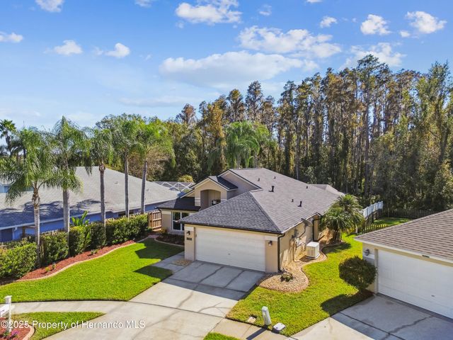 29228 Birds Eye Drive, Wesley Chapel, FL 33543
