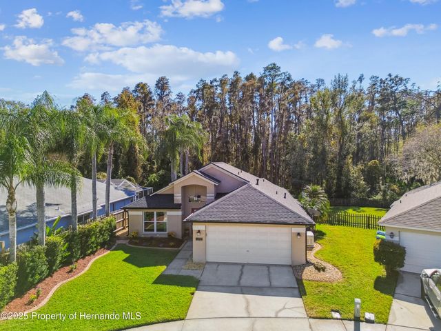 29228 Birds Eye Drive, Wesley Chapel, FL 33543