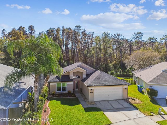 29228 Birds Eye Drive, Wesley Chapel, FL 33543