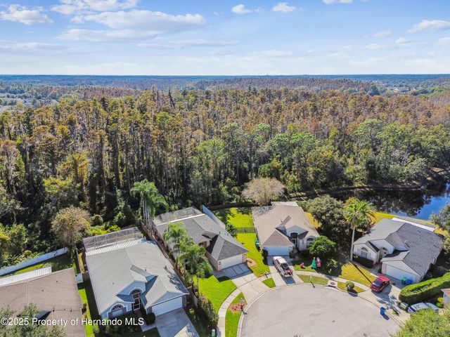 29228 Birds Eye Drive, Wesley Chapel, FL 33543