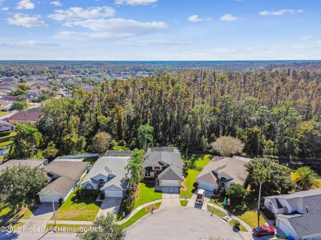 29228 Birds Eye Drive, Wesley Chapel, FL 33543