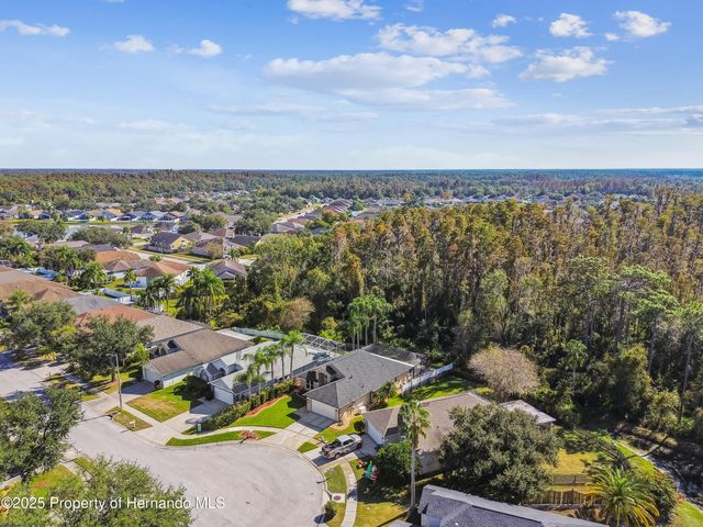 29228 Birds Eye Drive, Wesley Chapel, FL 33543