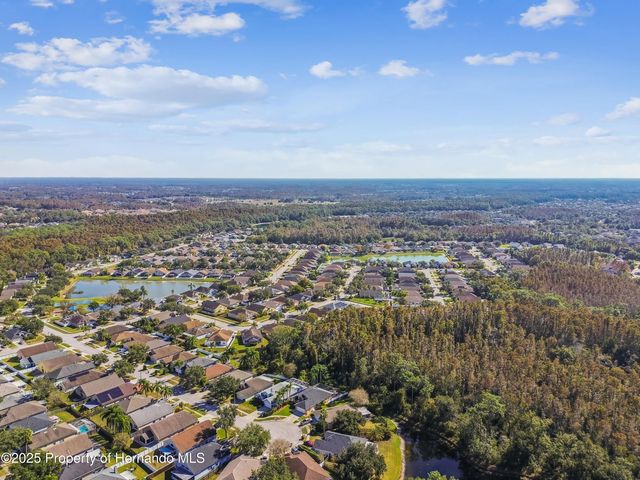 29228 Birds Eye Drive, Wesley Chapel, FL 33543