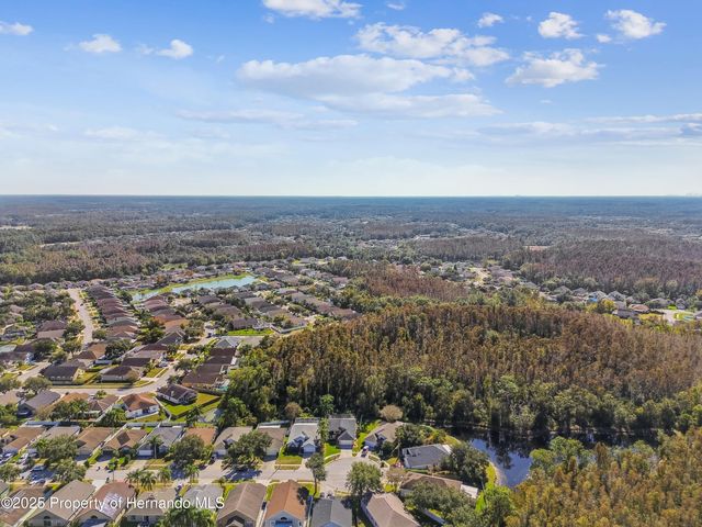 29228 Birds Eye Drive, Wesley Chapel, FL 33543