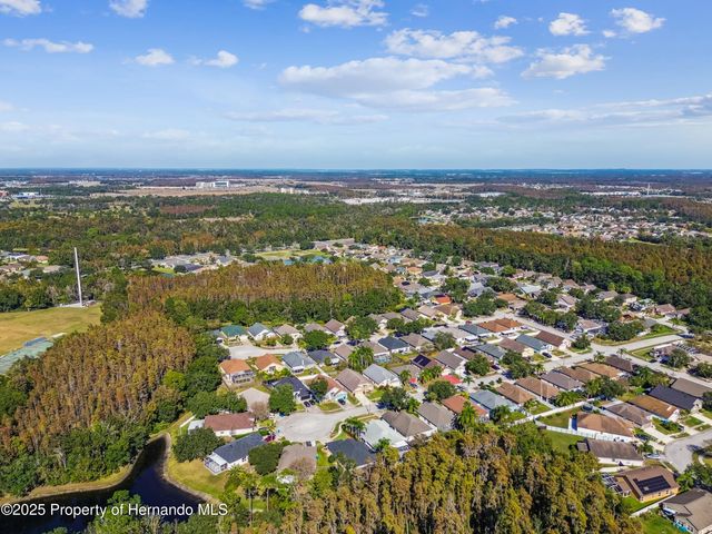 29228 Birds Eye Drive, Wesley Chapel, FL 33543