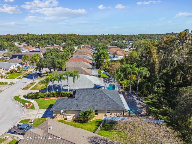 29228 Birds Eye Drive, Wesley Chapel, FL 33543