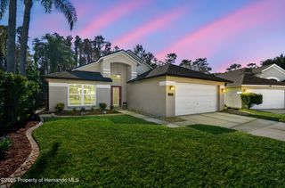 29228 Birds Eye Drive, Wesley Chapel, FL 33543
