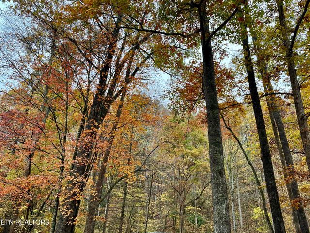 4131 Suttons Rd, Sevierville, TN 37876