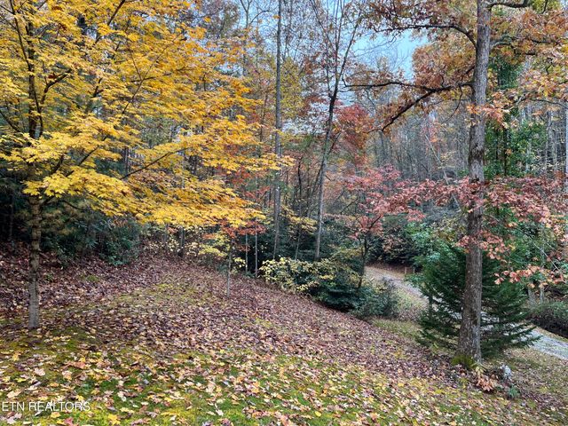 4131 Suttons Rd, Sevierville, TN 37876