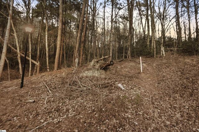 0 Hidden Glory Drive LOT 17, Landrum, SC 29356