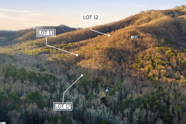 0 Hidden Glory Drive LOT 17, Landrum, SC 29356