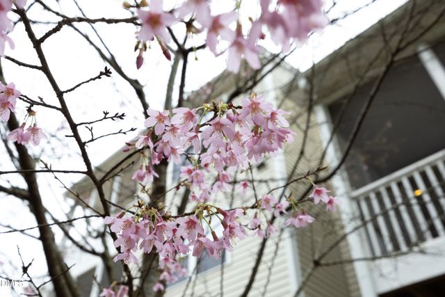 636 Chronicle Drive, Cary, NC 27513