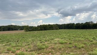 3 William Woodard Road, Springfield, TN 37172