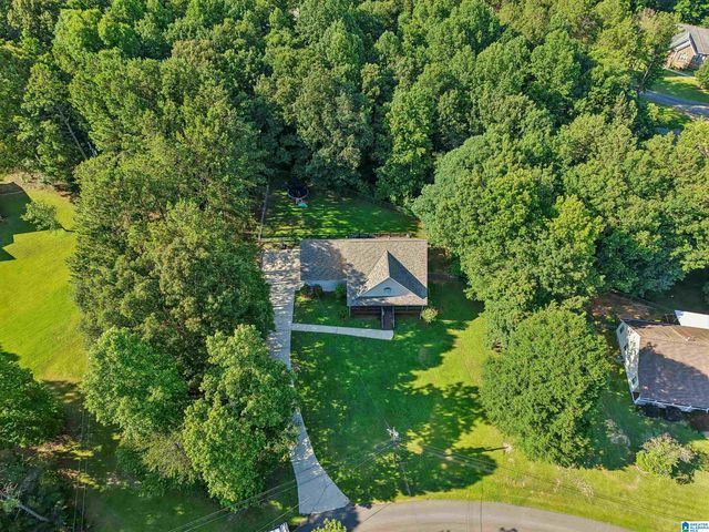 1331 CEDAR CREEK ROAD, Odenville, AL 35120