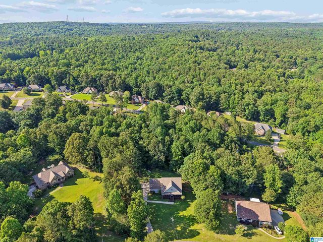 1331 CEDAR CREEK ROAD, Odenville, AL 35120