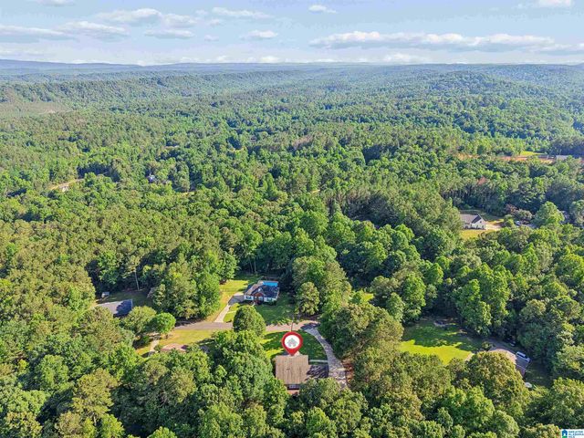 1331 CEDAR CREEK ROAD, Odenville, AL 35120