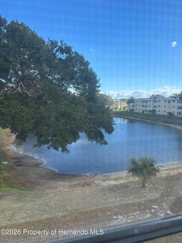 821 Deleon Court 303, Dunedin, FL 34698