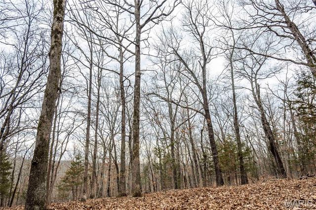 113 E Koester Springs Road, French Village, MO 63036