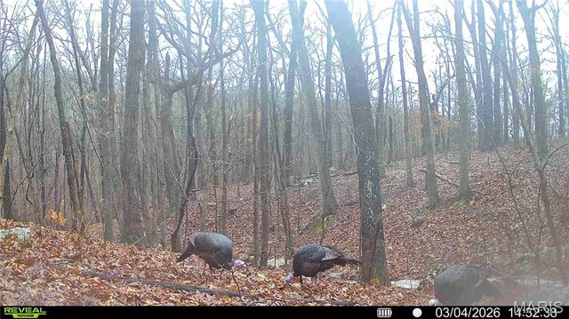 113 E Koester Springs Road, French Village, MO 63036