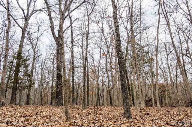 113 E Koester Springs Road, French Village, MO 63036