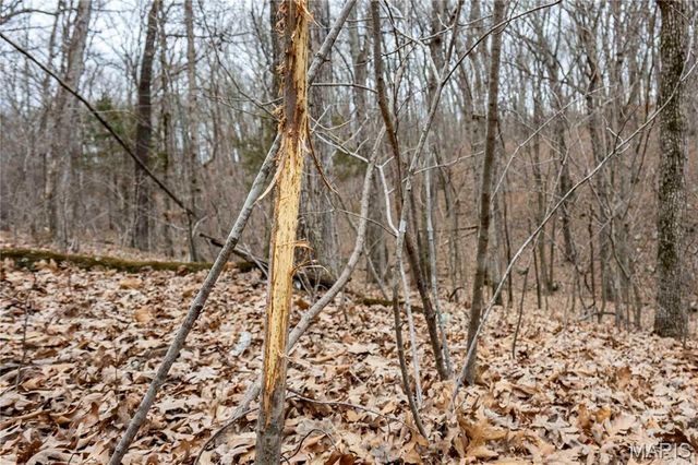 113 E Koester Springs Road, French Village, MO 63036