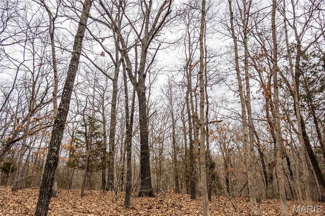 113 E Koester Springs Road, French Village, MO 63036