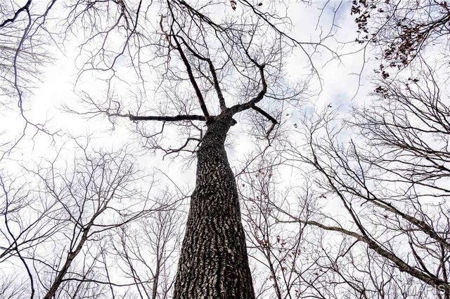 113 E Koester Springs Road, French Village, MO 63036