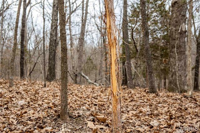 113 E Koester Springs Road, French Village, MO 63036