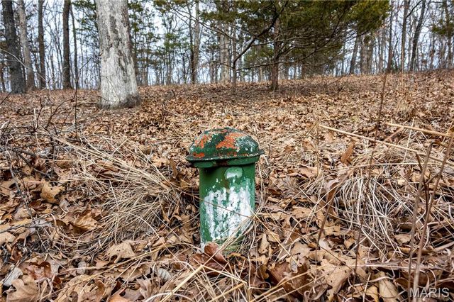 113 E Koester Springs Road, French Village, MO 63036